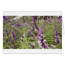 Flowers Greeting Card