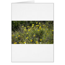 Flowers Card