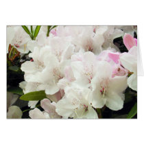 Flowers cards