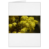 Flowers Greeting Card