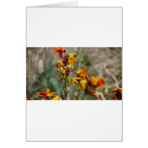 Flowers Greeting Cards