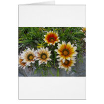 Flowers Cards