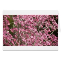 Flowers Card