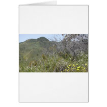 Flowers Card