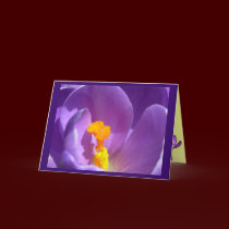 Flowers Cards Crocus Flowers Custom Greeting Card