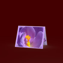 Flowers Cards Crocus Flowers Custom Greeting Card cards