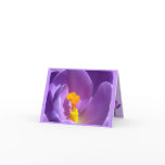 Flowers Cards Crocus Flowers Custom Greeting Card