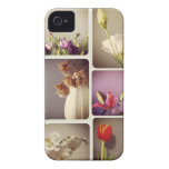 Flowers casemate cases