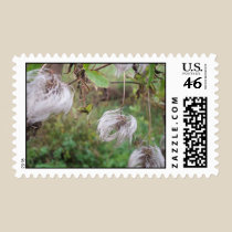 Flowers - Clematis Montana seed stamps