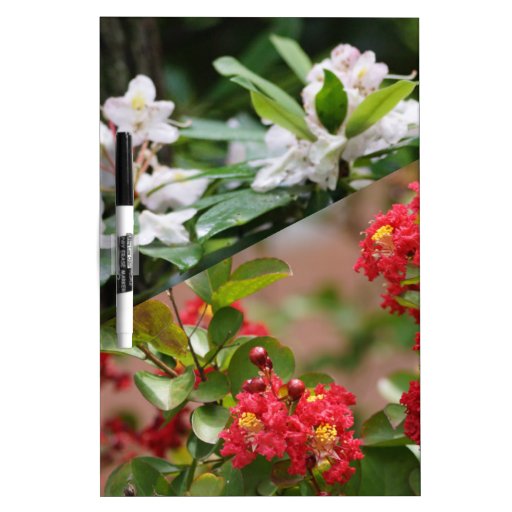 flowers collage DryErase board Zazzle