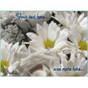Flowers Daisies 2 Personalized Postage Stamps stamp
