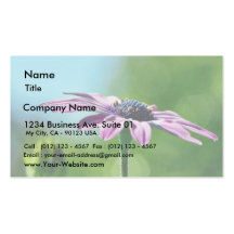 Flowers Daisies Daisy Petals Business Card Templates