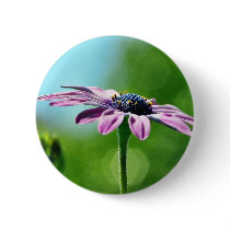 Flowers Daisies Daisy Petals buttons by lifesphere Flowers Daisies Daisy Petals buttons