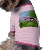 Flowers Daisies Daisy Petals pet clothing