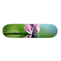 Flowers Daisies Daisy Petals Skate Deck