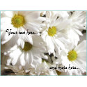 Flowers Daisies Personalized Postage Stamps stamp