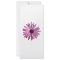 Flowers: Daisy rack cards by armwin Flowers: Daisy rack cards