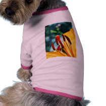 Flowers Day Lily Lilies pet clothing