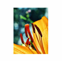 Flowers Day Lily Lilies photo sculptures