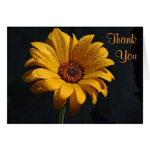 Flowers Dew Rain Thank You Note Card 