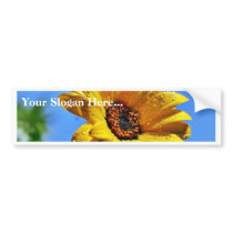 Flowers Dew Wet Water Droplets bumper stickers by lifesphere Flowers Dew Wet Water Droplets bumper stickers