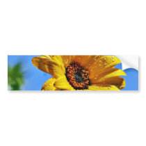 Flowers Dew Wet Water Droplets bumper stickers by lifesphere Flowers Dew Wet Water Droplets bumper stickers