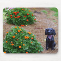 Flowers & Dog mousepads