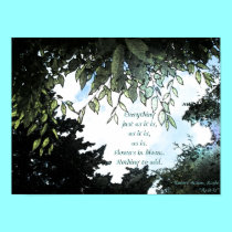 Flowers & Everything Haiku Print posters