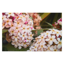 FLowers flyers