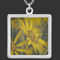 Flowers for You necklaces