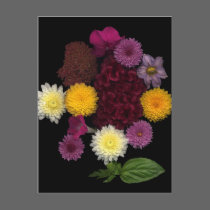 Flowers For You postcards