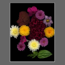 Flowers For You postcards