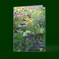 Flowers for your Birthday cards by Just_For_Mom Flowers for your Birthday cards