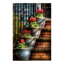 Flowers - Four Pots posters by suburbanscenes Flowers - Four Pots posters