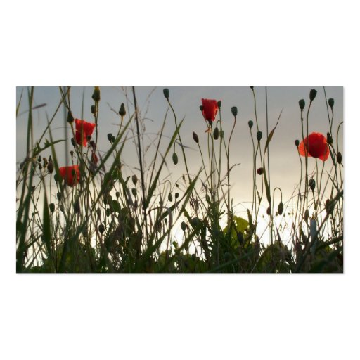 Flowers - Four Red Poppies Business Card Template (back side)