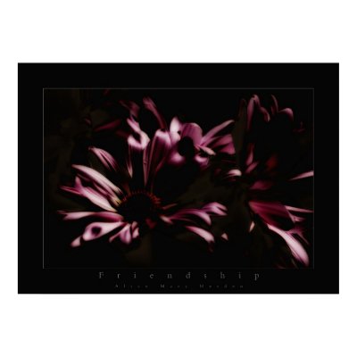 flowers freindship poster by VisionVault