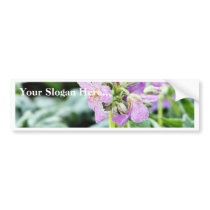Flowers Frost Ice Dew Winter bumper stickers by lifesphere Flowers Frost Ice Dew Winter bumper stickers