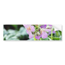 Flowers Frost Ice Dew Winter bumper stickers by lifesphere Flowers Frost Ice Dew Winter bumper stickers