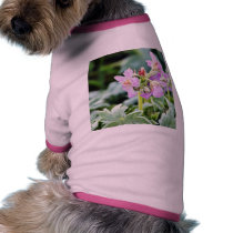 Flowers Frost Ice Dew Winter pet clothing by lifesphere Flowers Frost Ice Dew Winter pet clothing