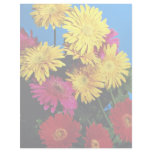 Flowers, Gerbera daisies Custom Letterhead