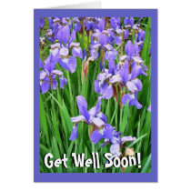 Flowers Get Well Card cards