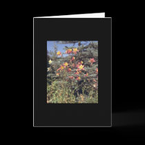 Flowers Greeting Card by mickeyelvis128 Flowers Greeting Card