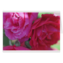 Flowers cards