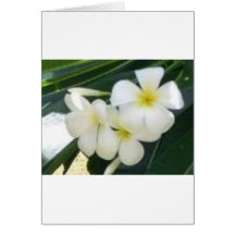 flowers greeting cards