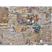 Flowers Growing From The Wall photo sculptures by lifesphere Flowers Growing From The Wall photo sculptures
