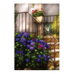 Flowers  - Hydrangia and Geraniums Poster