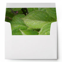 Flowers in an Envelope