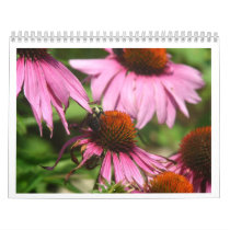 Flowers in Bloom Calendar