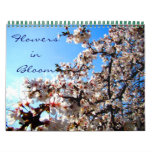 Flowers in Bloom Wall Calendar