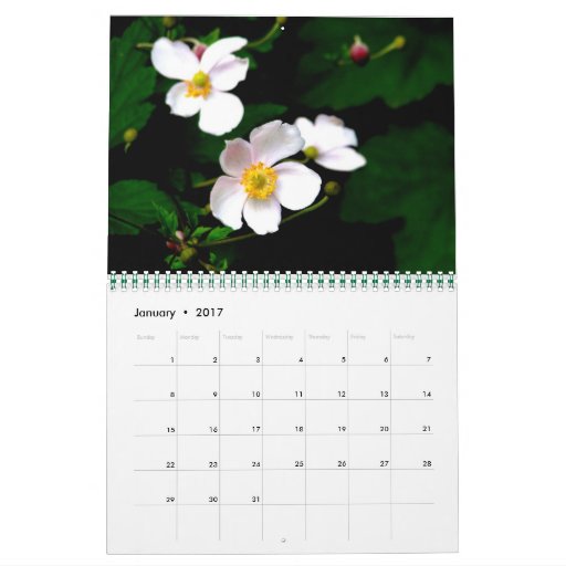 Flowers in Bloom Calendar | Zazzle